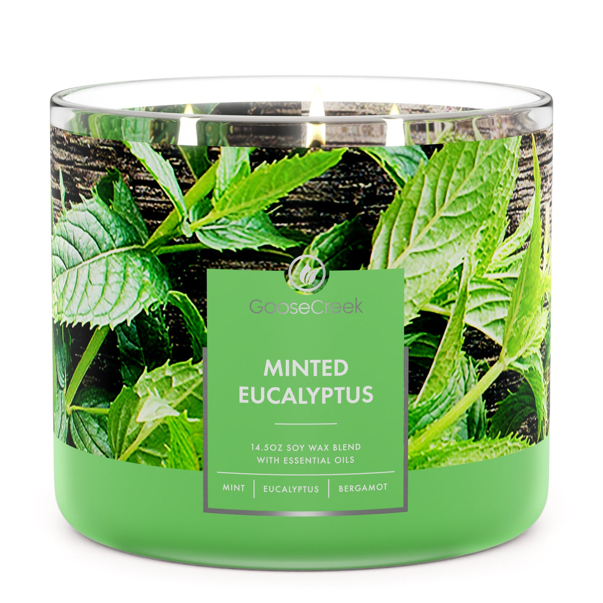 Minted-Eucalyptus-3-Wick-Candle