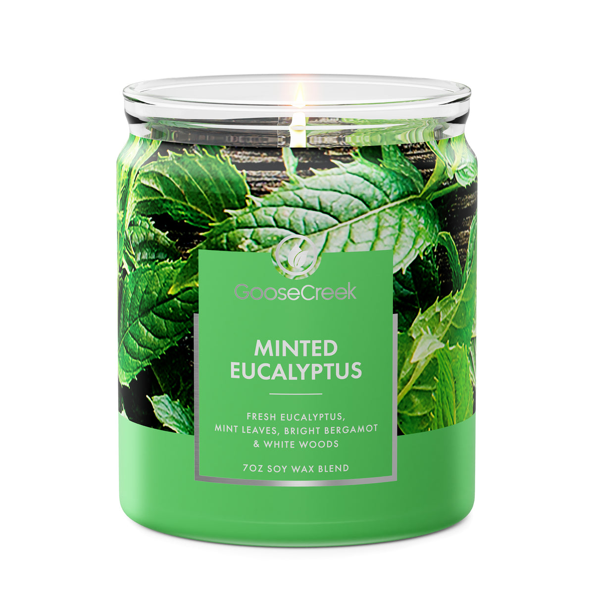 Minted-Eucalyptus-7oz-Single-Wick-Candle_33aa0f79