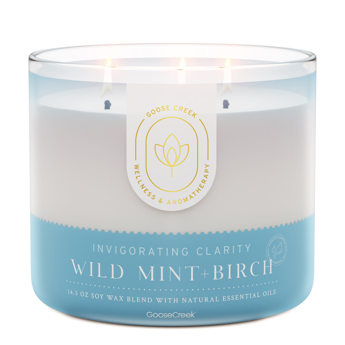 Wild-Mint-Birch-Aromatherapy-3-Wick-Candle_8217e25f
